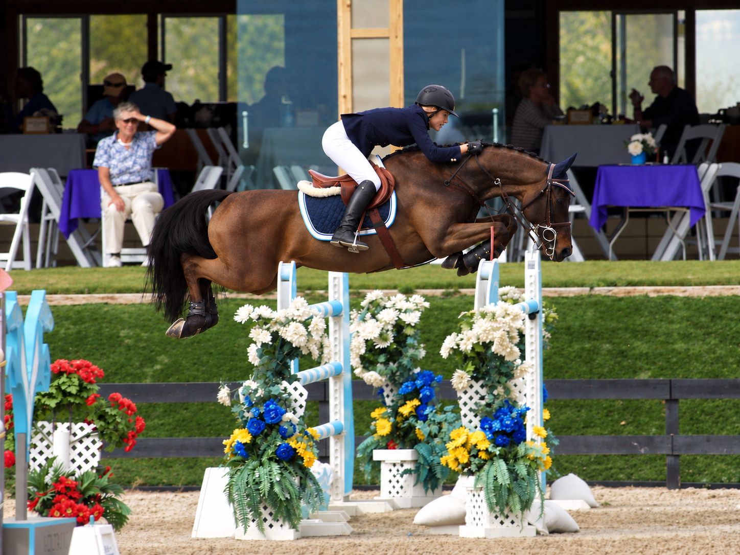 Elizabeth Landers and Claudius showjumping