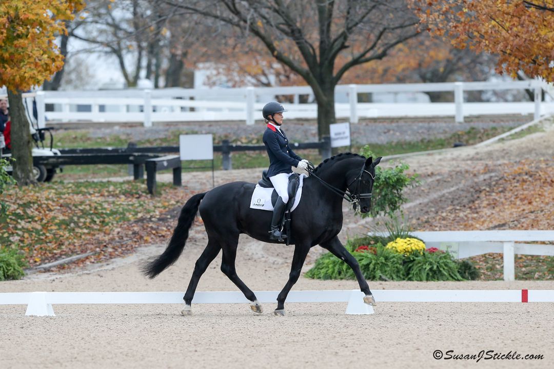 Elizabeth Landers riding at the US Dressage Finals