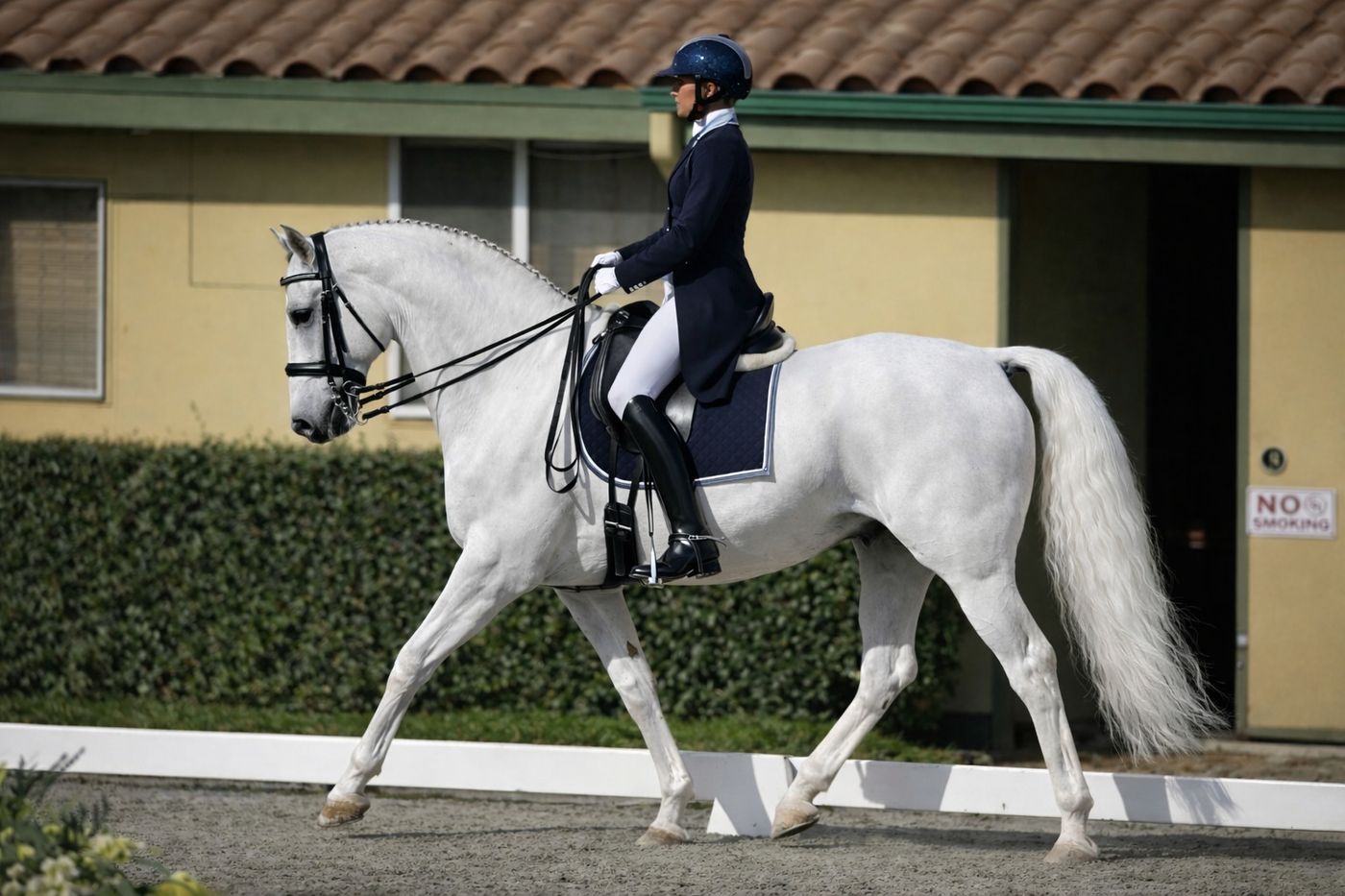 Elizabeth Landers riding a Lipizzaner